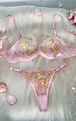 Celebrate Love with Our Valentine Panty & Bra Sets