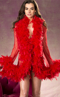Ultra Fluffy Feather See-thru Robe